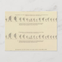 Geisteskranke, Statistische US-Lithographie 1870