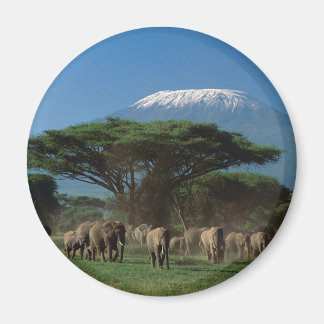 Geistliche des Mt.Kilimanjaro Magnet