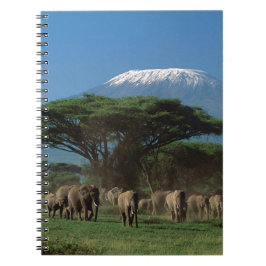 Geistliche des Mt.Kilimanjaro Notizblock