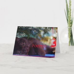 GEKACKT? CHRISTMAS-KARTE FÜR JEDEN DANKESKARTE