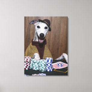 Gekleideter oben Whippet Hund an spielendem Tisch Leinwanddruck