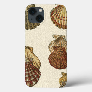 Geknisterte antike Muscheln Case-Mate iPhone Hülle