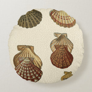 Geknisterte antike Muscheln Rundes Kissen