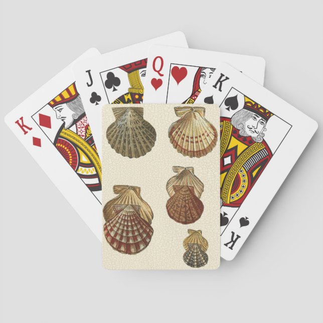 Geknisterte antike Muscheln Spielkarten (Rückseite)