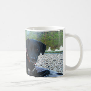 gekräuseltes oben Hündchen Kaffeetasse
