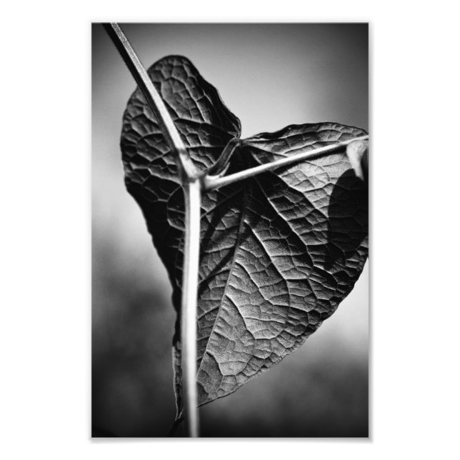 gekreuztes Herz Fotodruck (Vorne)