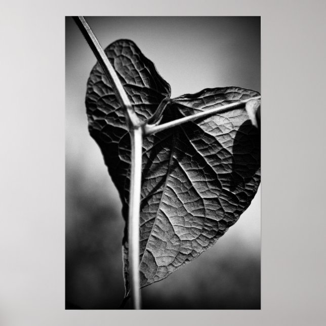 gekreuztes Herz Poster (Vorne)