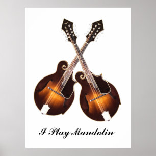 GEKREUZTES MANDOLINS-POSTER POSTER