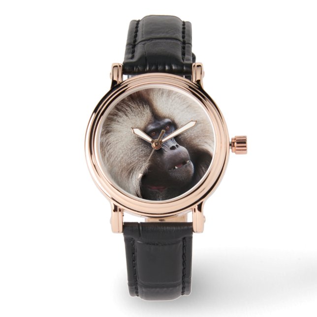 Gelada Baboon, Äthiopien Armbanduhr (Vorderseite)