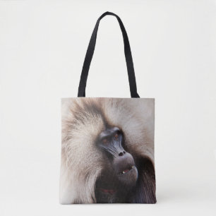 Gelada-Pavian, Äthiopien Tasche