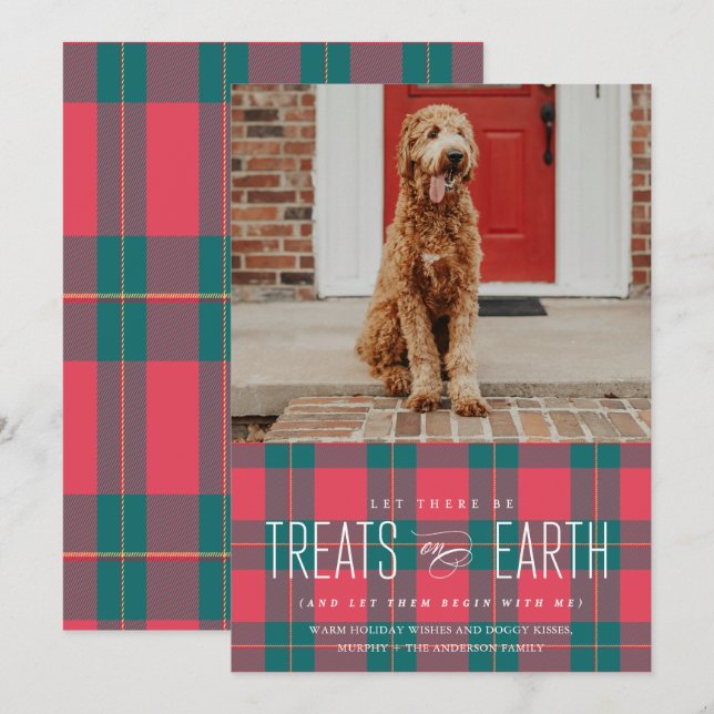 Gelassen Es gibt Leckereien auf Earth Pet Foto Hol Einladung (Vorne/Hinten)