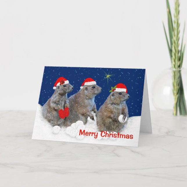 Gelassen ihm schneien Weihnachtskarte Feiertagskarte (Vorderseite)