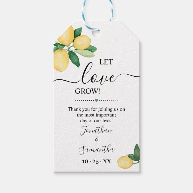 Gelassen Liebe Grow Lemons Brautparty Pflanze Gefa Geschenkanhänger (Vorderseite)