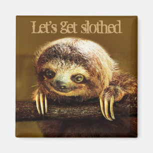 Gelassen uns erhalten Sie Slothed Magnet