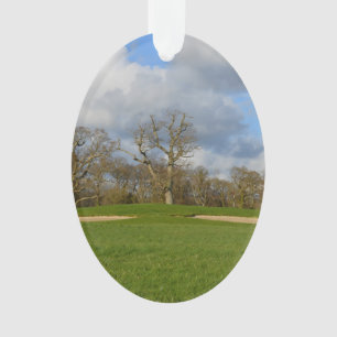 Gelassen uns Golf spielen Ornament