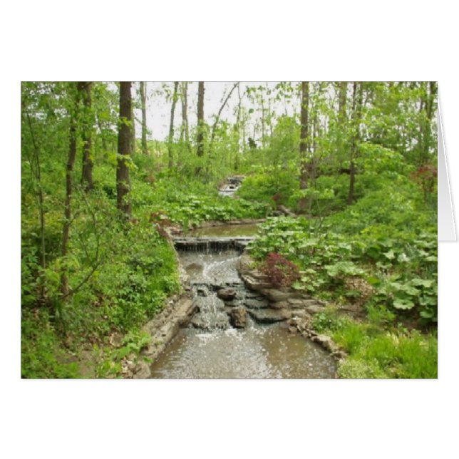 Gelassenheit (Vorderseite (Horizontal))