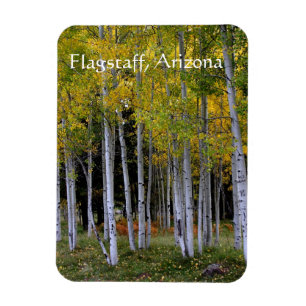 Gelassenheit in Gold und Green Aspen's Vorreiterte Magnet