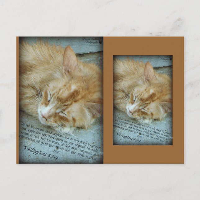 Gelassenheit Postkarte (Vorderseite)