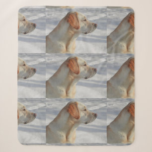 Gelb 4 Labrador Sherpadecke