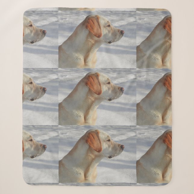 Gelb 4 Labrador Sherpadecke (Vorderseite)