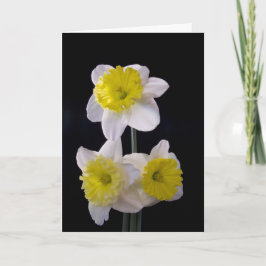 Gelb am Tag der weißen Daffodil Mutter Karte