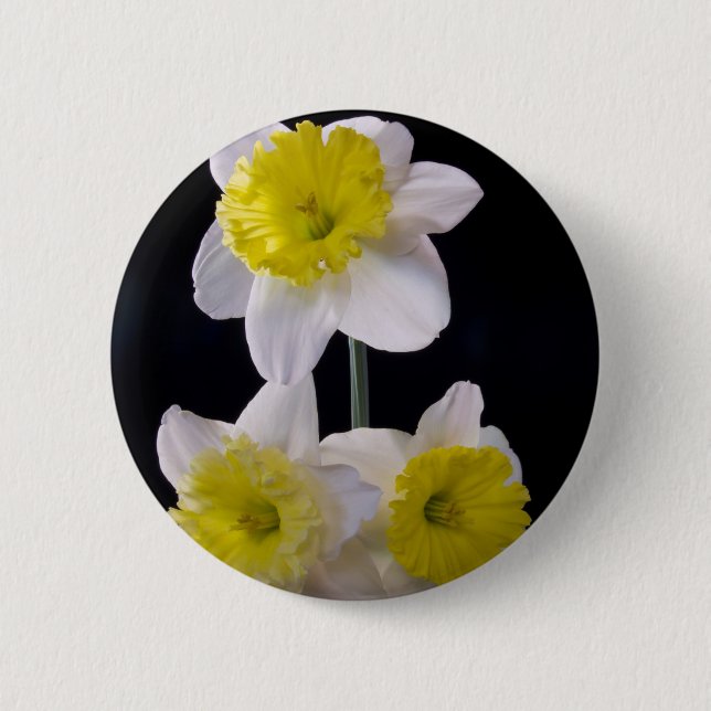 Gelb auf weißem Daffodil Button (Vorderseite)