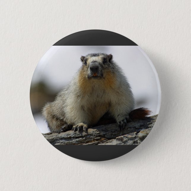 Gelb aufgeblähtes Murmeltier Button (Vorderseite)