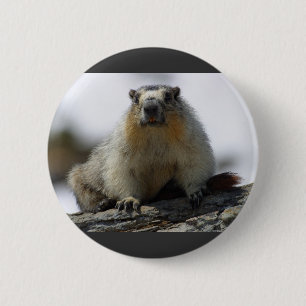 Gelb aufgeblähtes Murmeltier Button