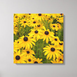 Gelb-Blumen-Schwarzes mit Augen Susans Leinwanddruck