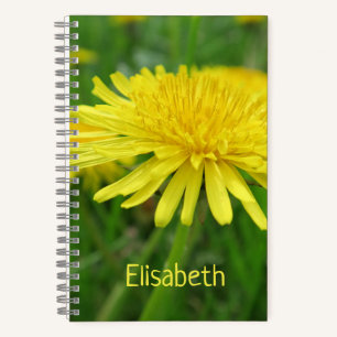 gelb, Butterblume, Pflanze, Löwenzahn, Wiese, Notizbuch