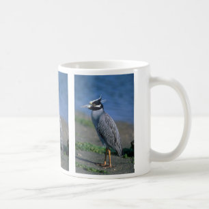 Gelb-gekrönter Nachtreiher Kaffeetasse