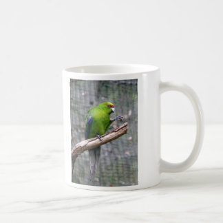 Gelb-gekrönter Parakeet Kaffeetasse