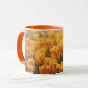 Gelb-Gold- und Orangen-Tulpenfeld-Tasse Tasse