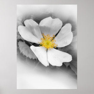 gelb in Grautönen Poster