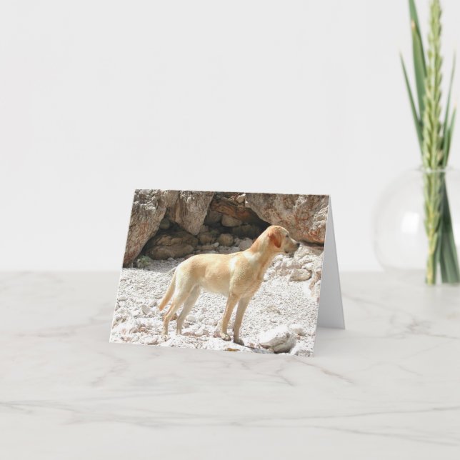 Gelb Karte (Vorderseite)