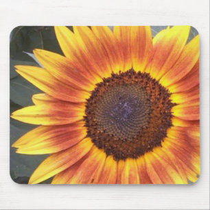 Gelb-N-Orangenblütenmousepad Mousepad
