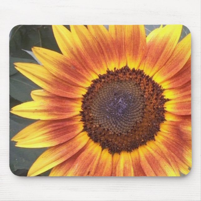 Gelb-N-Orangenblütenmousepad Mousepad (Vorne)