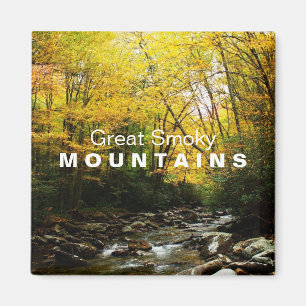 Gelb-orangeer Herbst-Great Smoky Mountains-Magnet Magnet