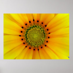 GELB POSTER