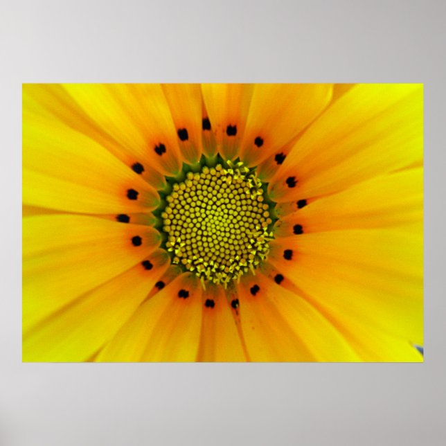 GELB POSTER (Vorne)
