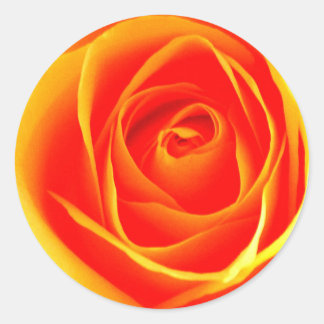Gelb/Rote Rose-Aufkleber Runder Aufkleber