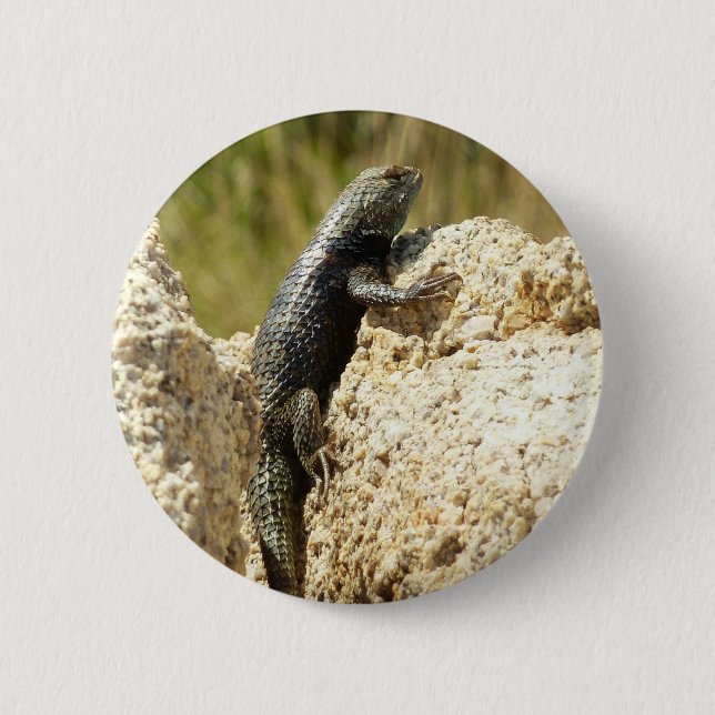 Gelb Rücken Stacheligechse in Joshua Tree Button (Vorderseite)