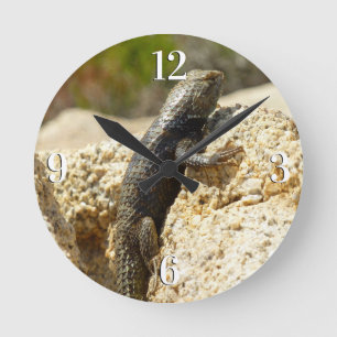 Gelb Rücken Stachelleguan in Joshua Tree Runde Wanduhr