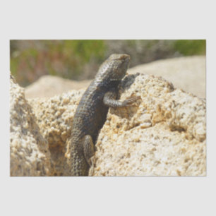 Gelb Rücken Stachelleguan in Joshua Tree Seidenpapier
