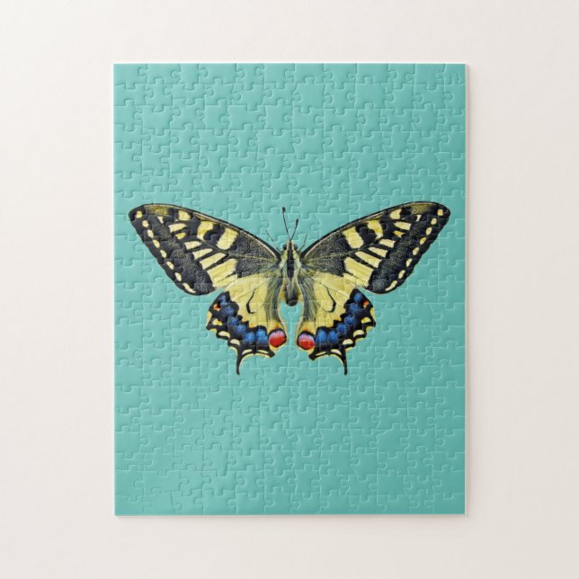 Gelb-schwarzer Schmetterling    (Vertikal)