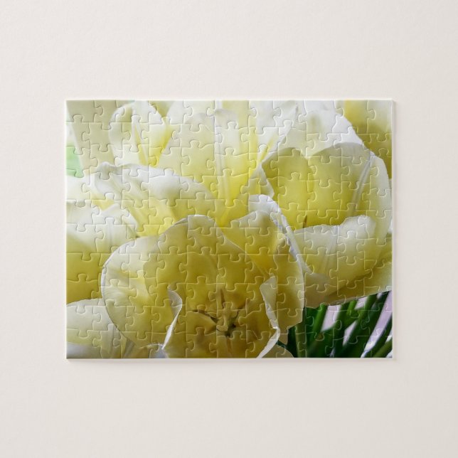 Gelb Tulpenstrauß (Horizontal)