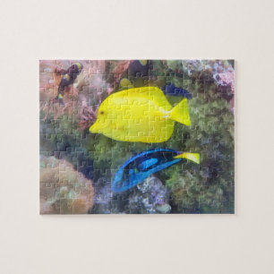 Gelb und Blauer Tang