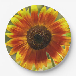 Gelb und Bronze-Sonnenblumen Pappteller