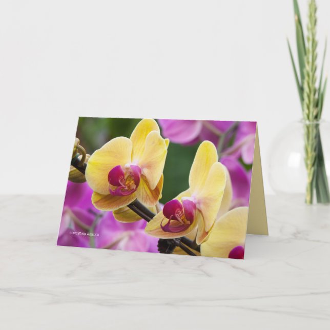 Gelb und Fushia Orchid Karte (Vorderseite)