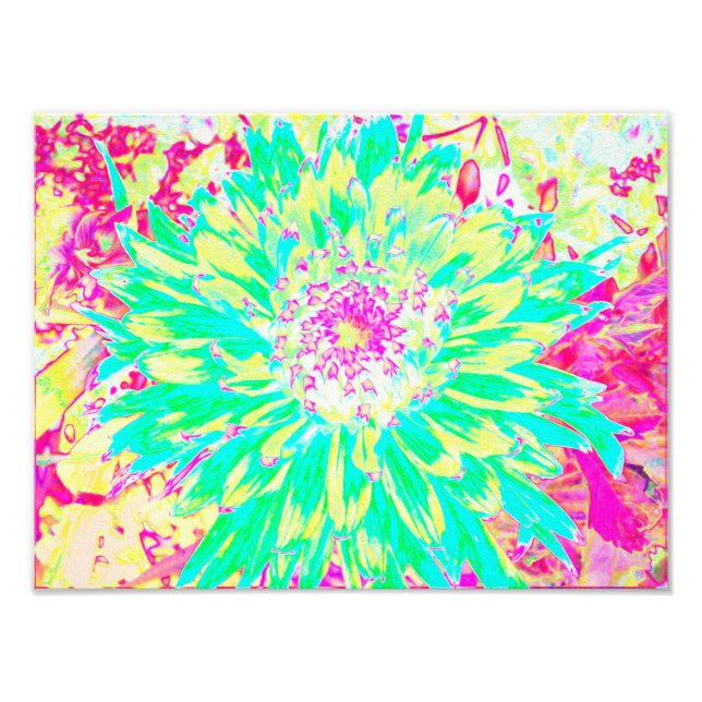 Gelb und Magenta Dekorative Dahlia Blume Fotodruck (Vorne)